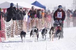 Lenk 2013
